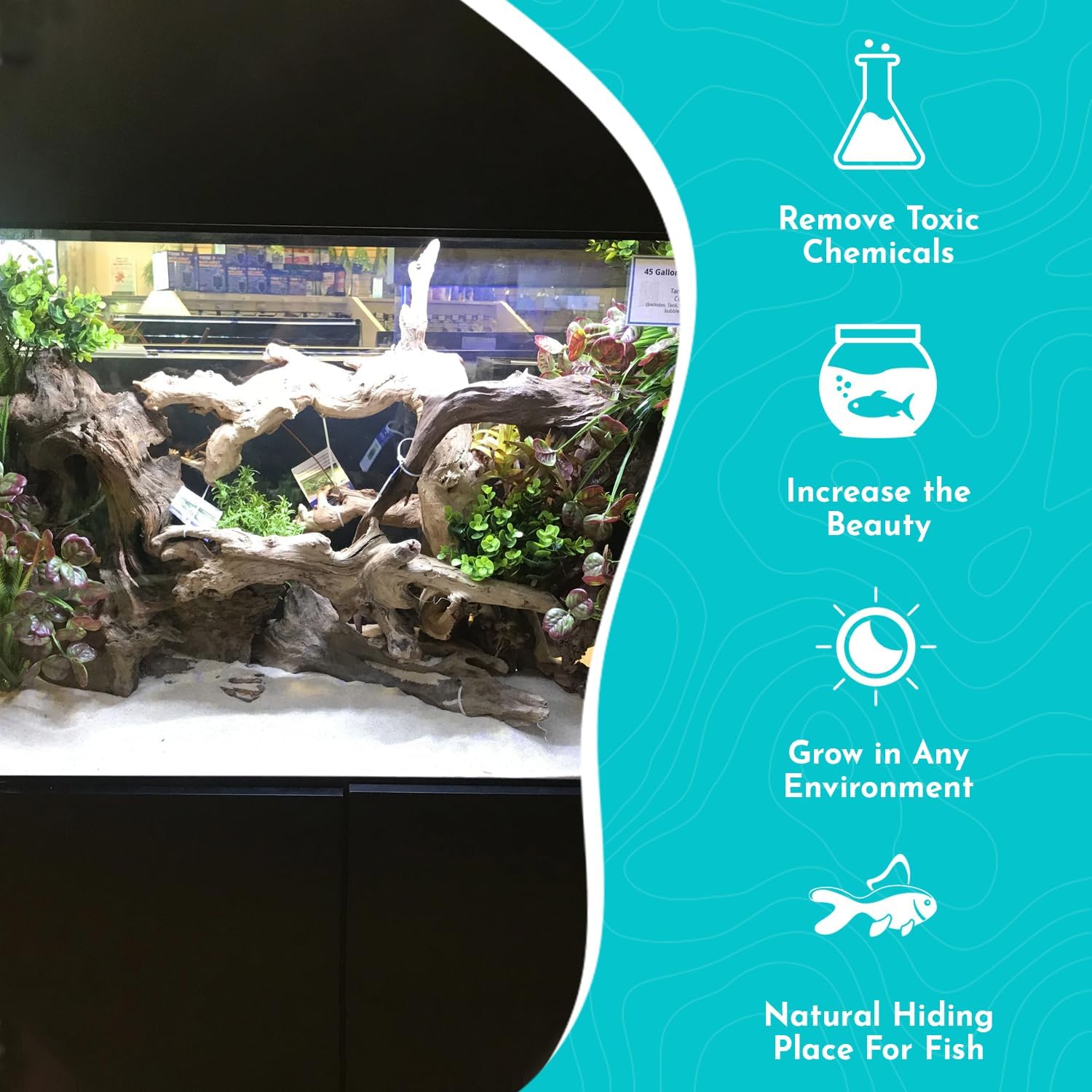 Pacific Wood for Aquascaping Show Piece - Premium Natural Driftwood for Aquarium Decoration Fish Tanks - Perfect Centerpiece Scenery for Freshwater & Saltwater Tanks - X-Large