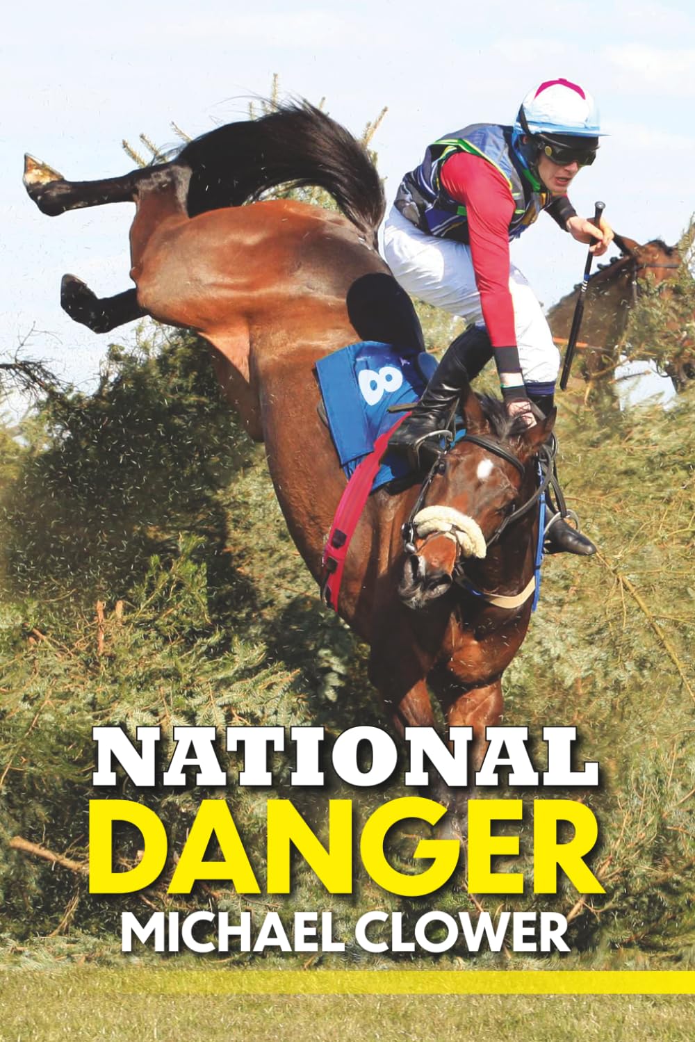 National Danger