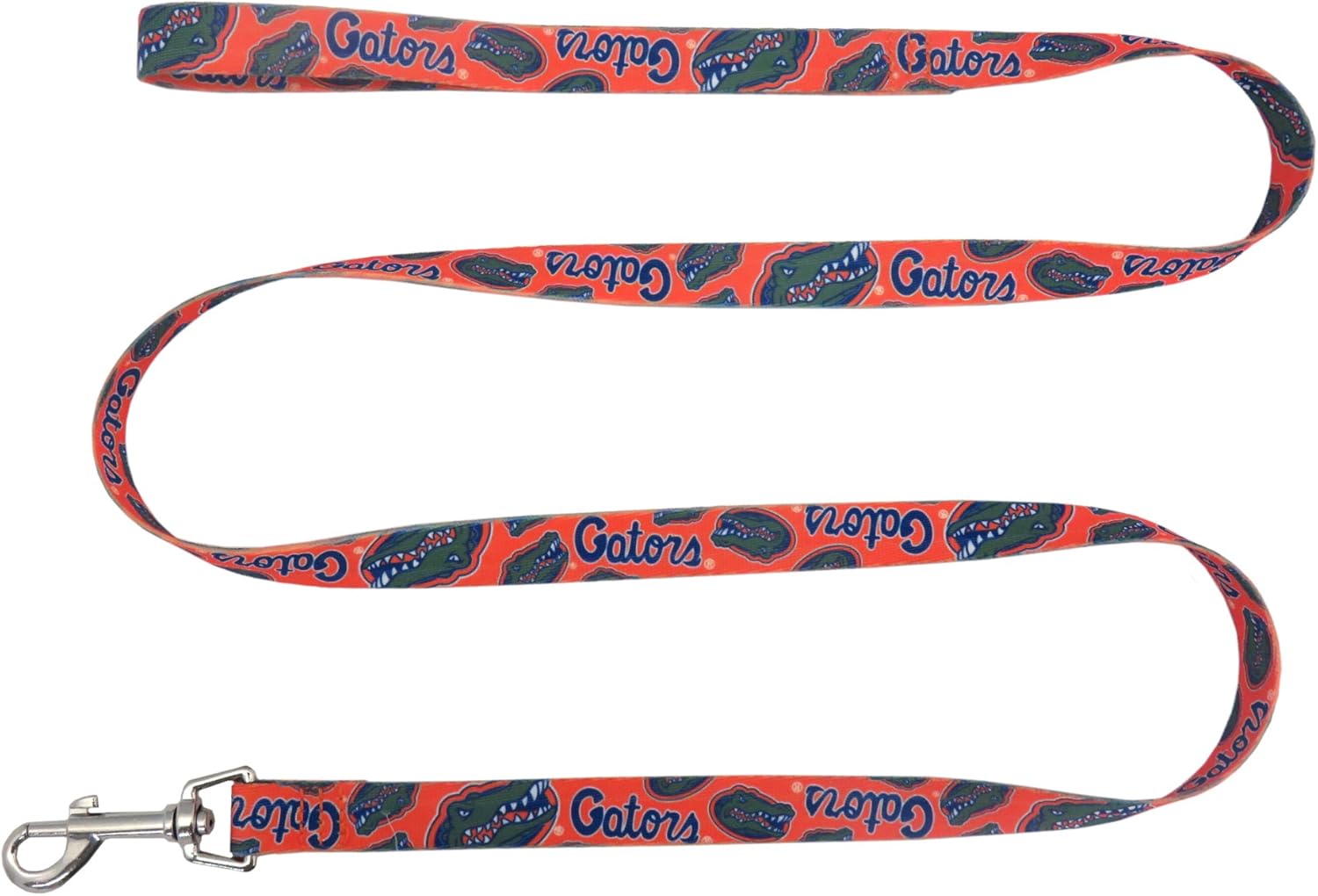 Little Earth NCAA Pet Team Lead