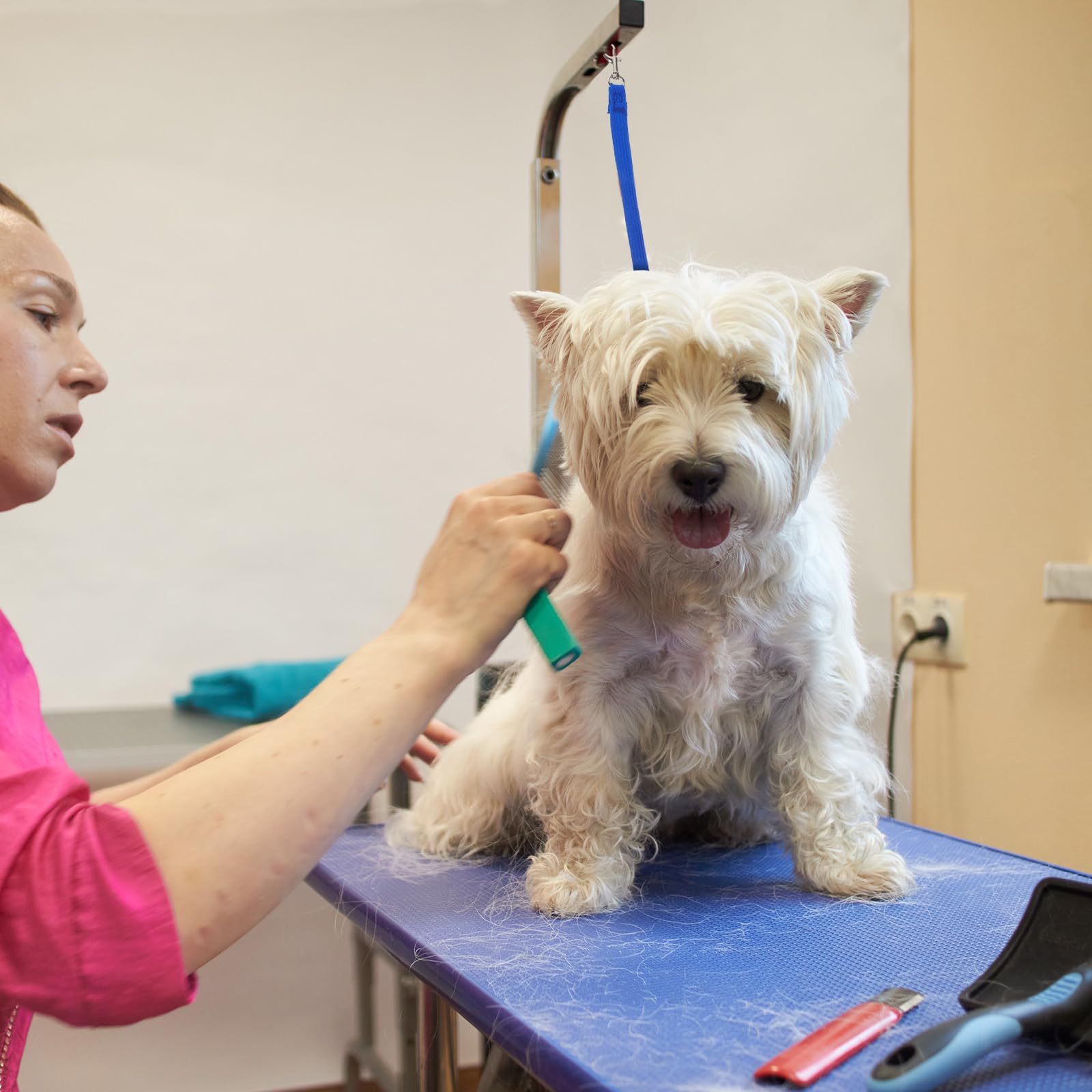 Adjustable Dog Grooming Leash - Image 4