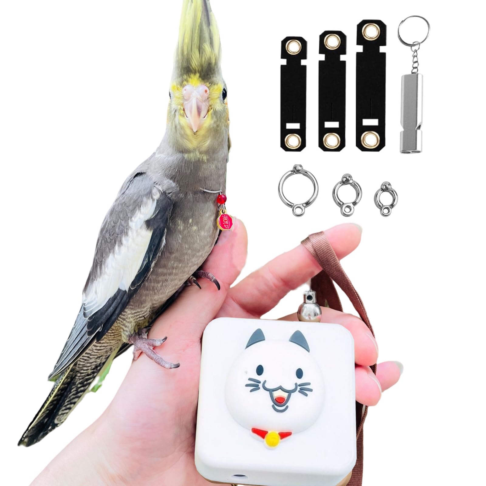 Bird Leash Bird Traction Rope Parrot Flying Rope Adjustable Small Animal Walking Harness 20FT/236IN with 6 Different Sizes of Soft Foot Ring (20FT, White cat)