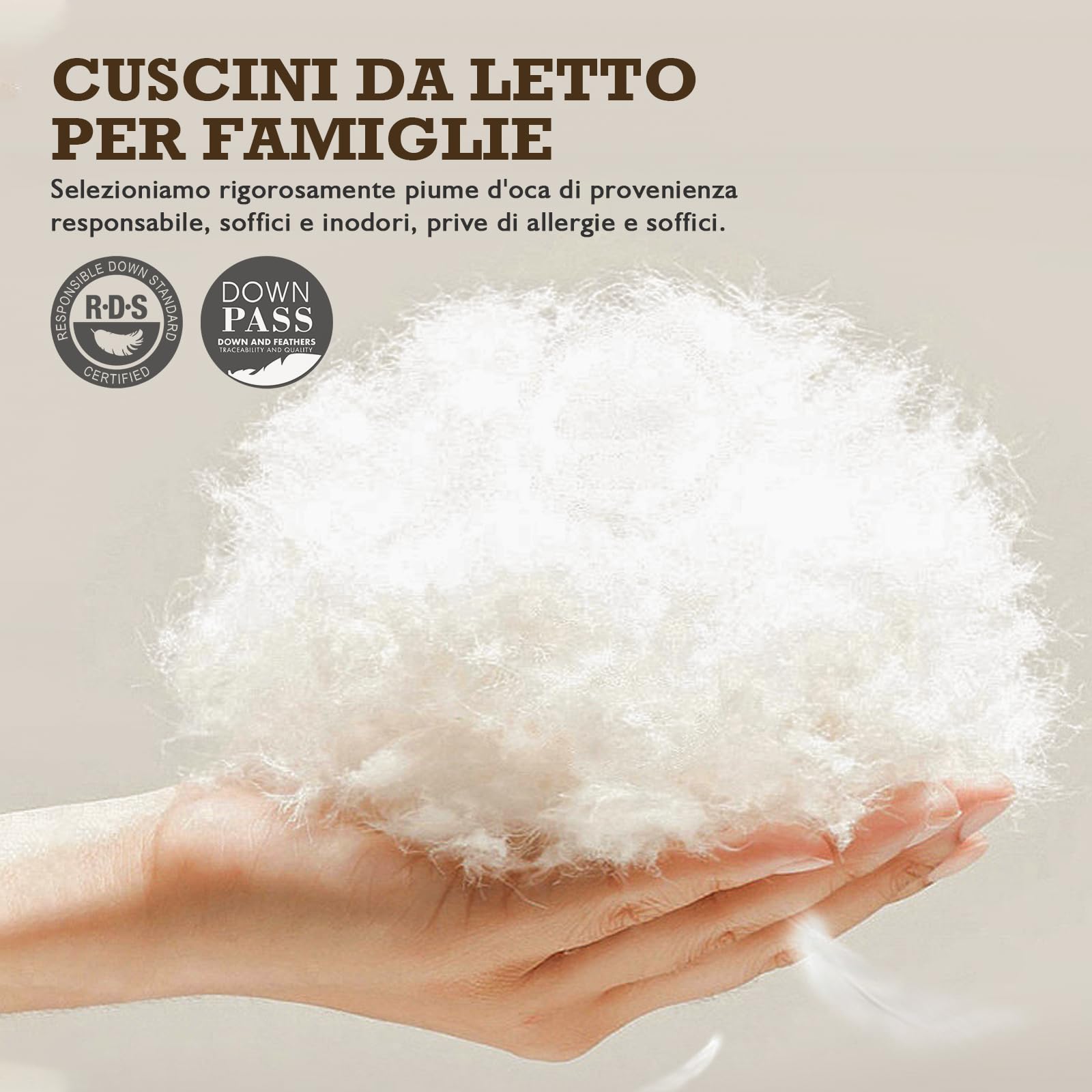 BPC cuscino in piuma e piumino organica, 50x75 set di 2, Lussuoso cuscino letto d'albergo a 3 camere, Cuscino 50x75 cm imbottitura in piuma d'oca con fodera 100% cotone, Bianco