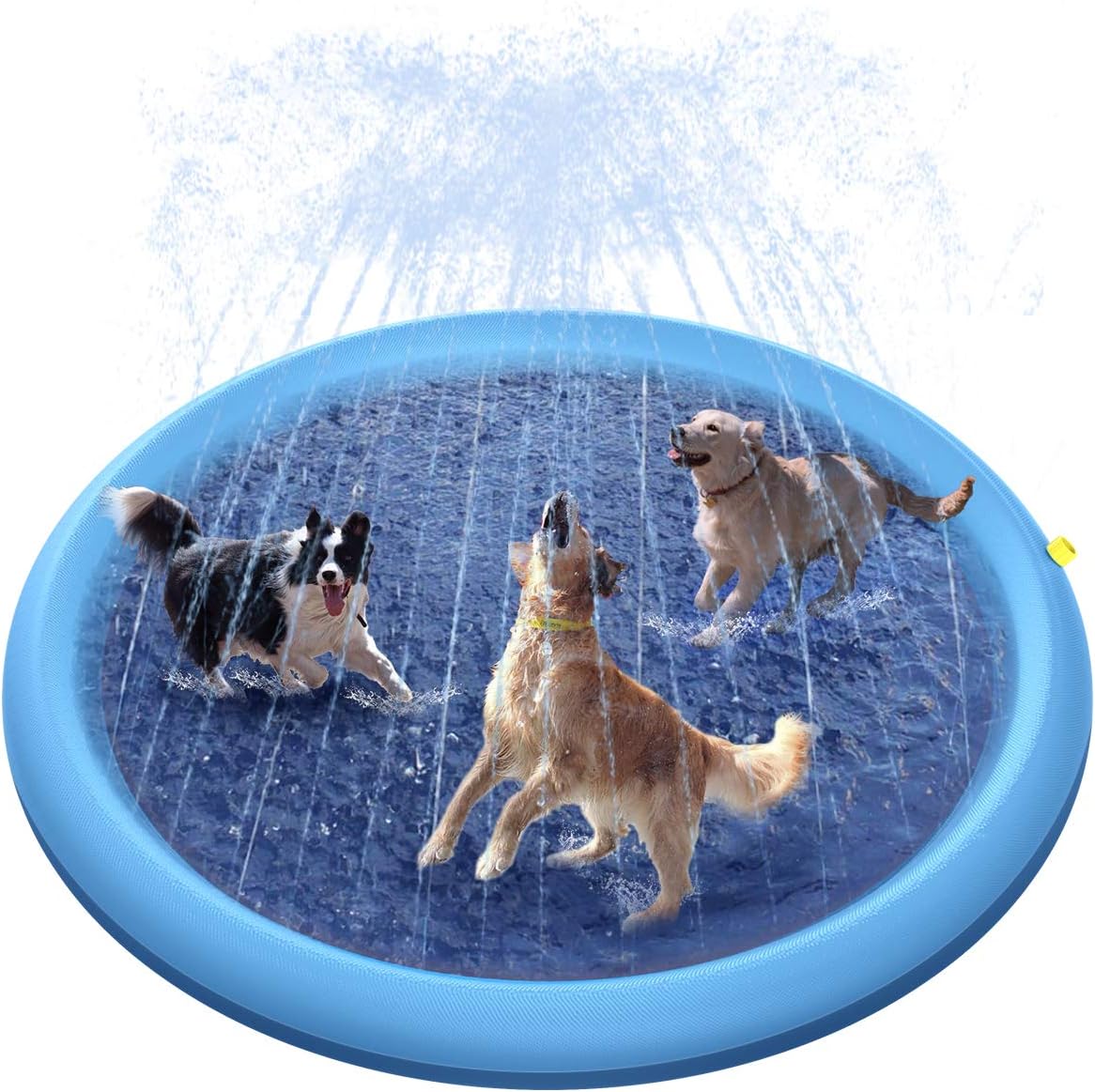 puppy splash pad