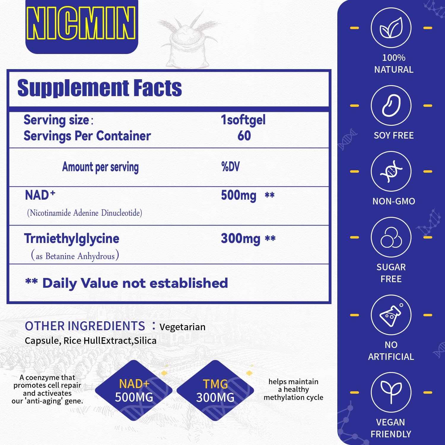 800MG Liposomal NAD+ with TMG 300MG, Actual NAD+ Supplement, Superior Absorption Boost NAD Plus for Cell Energy, Healthy Aging and Muscle Repair 120 Capsules (Pack of 2)
