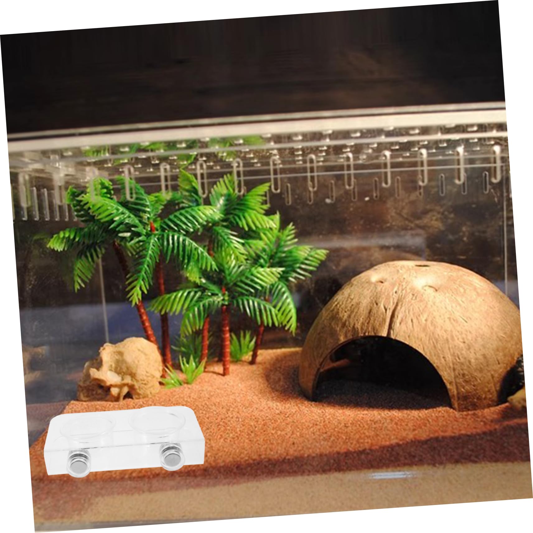 BESPORTBLE 5juegos Cuenco De Alimentación Magnético para Reptiles Comedero De Agua y Comida para Iguana y Tortuga Diseño Espacioso y Tazones Reemplazables para Terrarios De Reptiles