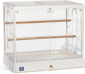Clear View Glass Bird Cage Crystal Palace Luxe for Small Birds - White Frame
