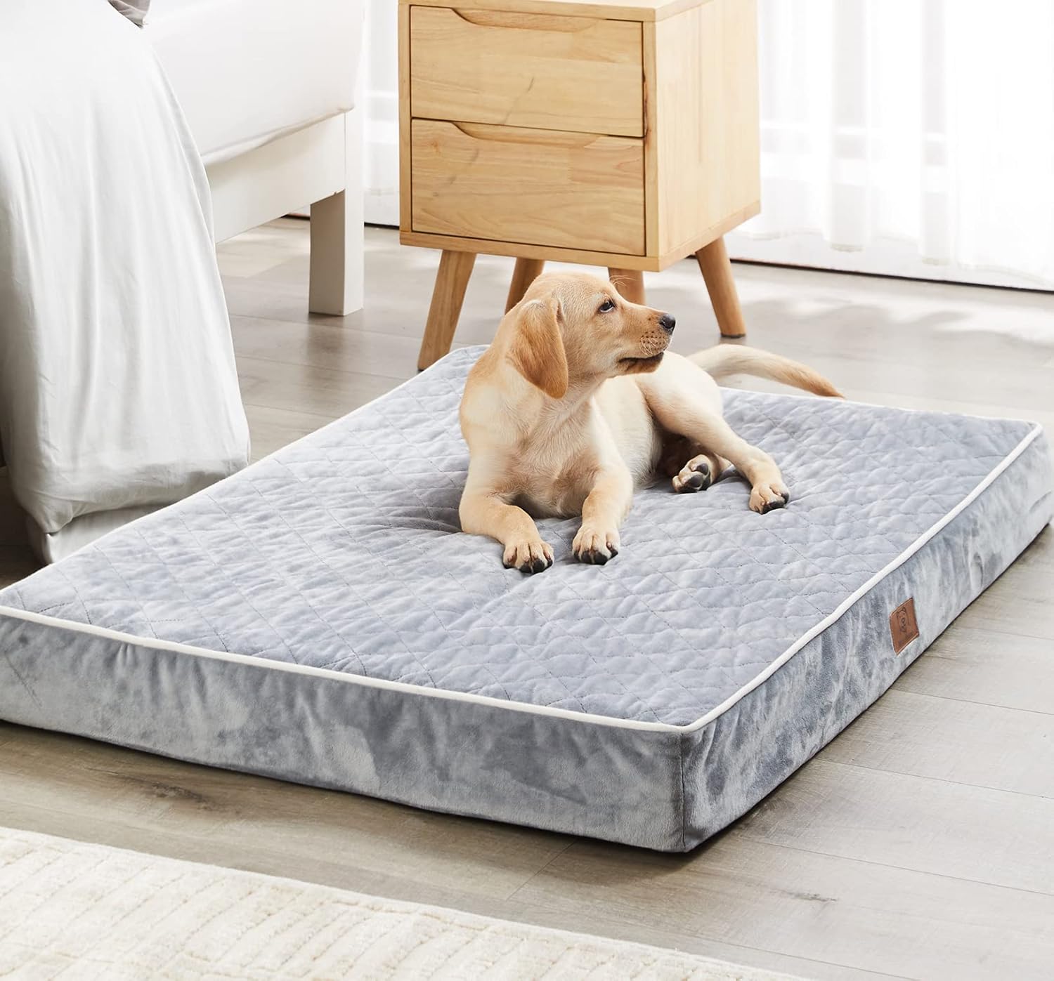 wainwright dog bed extra large