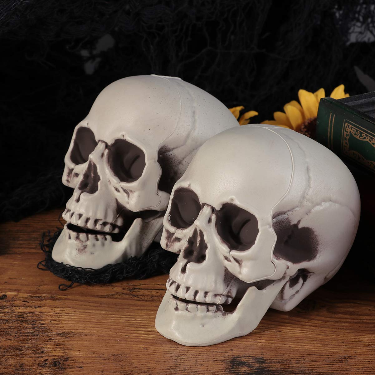 Amazon.co.jp: 頭骸骨 模型 ハロウィン 飾りお化け屋敷道具 スカル