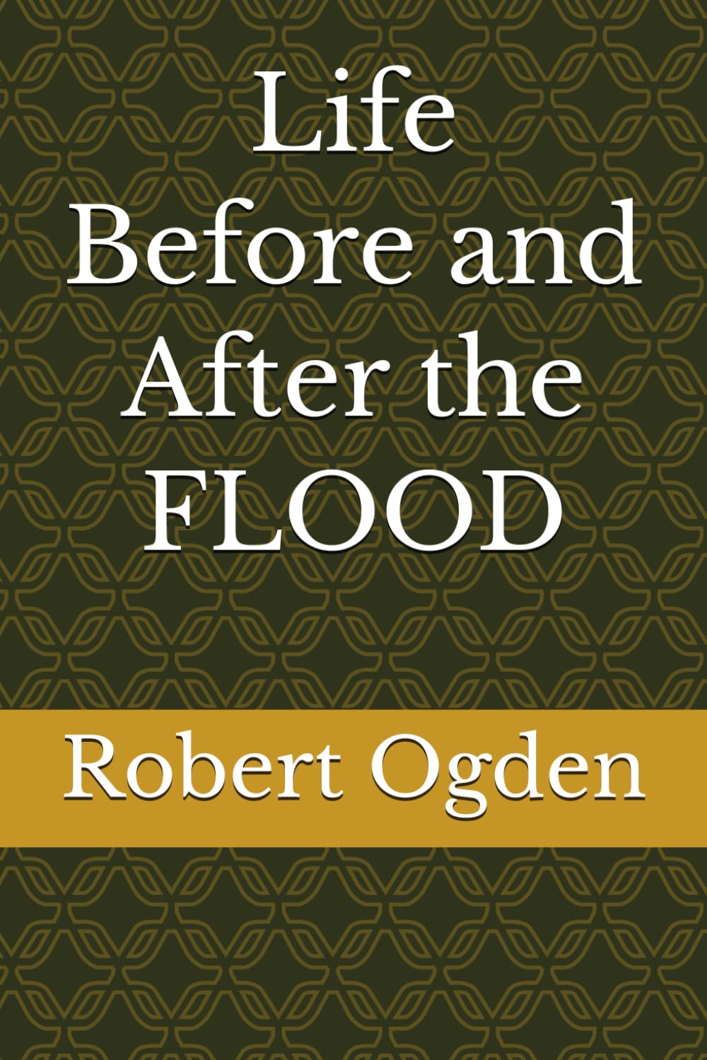 Life Before and After the FLOOD