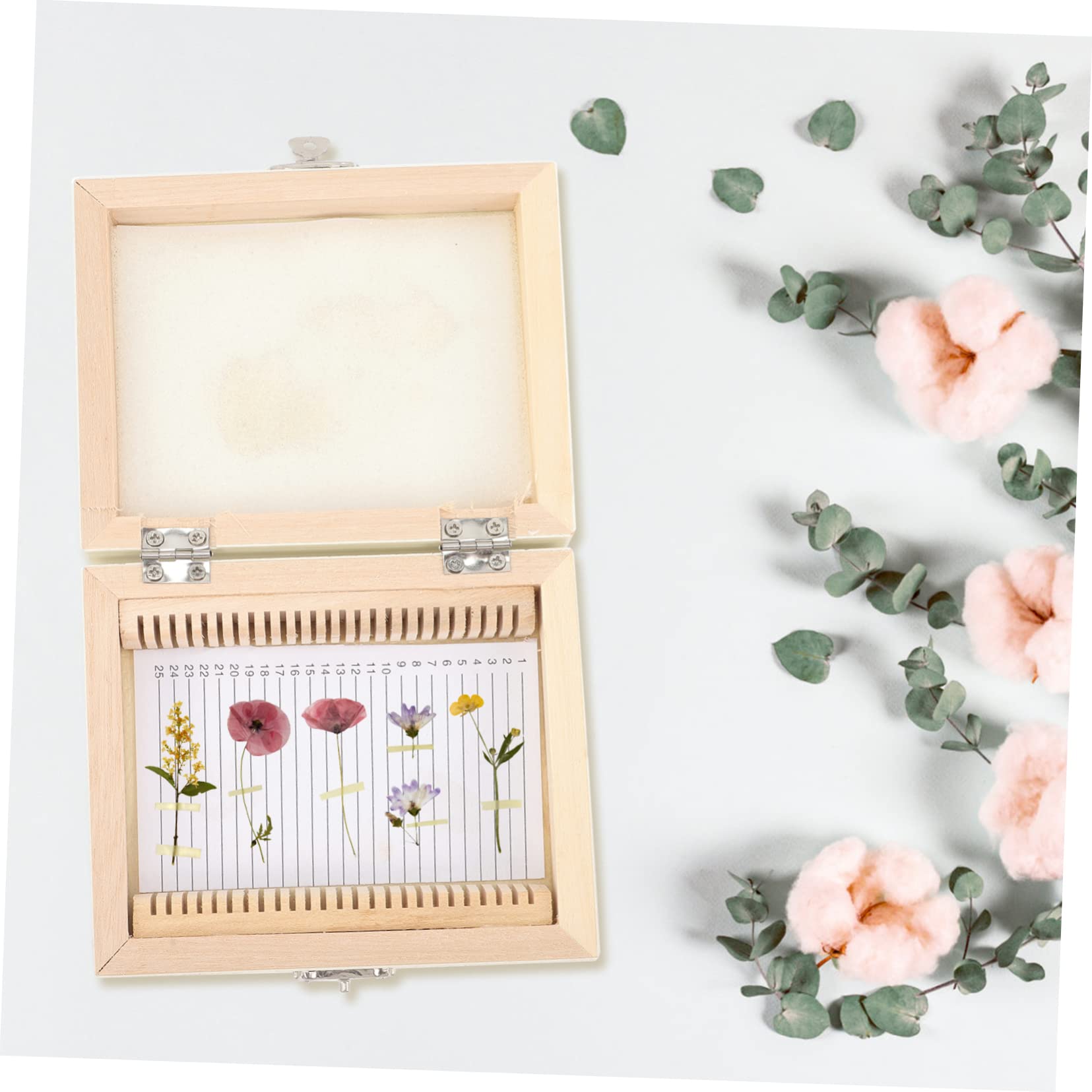 Cabilock 3er-packung Biologische Slice-box Mikroskopische Objektträger Deckel Mini-drehmaschine Tragbar Gitter Bausatz Blindmikroskop -objektträger Und Deckgläser Korb Beige Holz