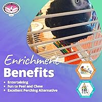 Vista 5 de Super Bird Creations SB301 - Juguete masticable para pájaros de fiesta de papel con palitos de paletas coloridos, cuello de anillo, loro mediano