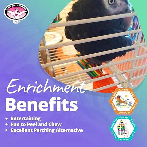 Miniatura 5 de Super Bird Creations SB301 - Juguete masticable para pájaros de fiesta de papel con palitos de paletas coloridos, cuello de anillo, loro mediano