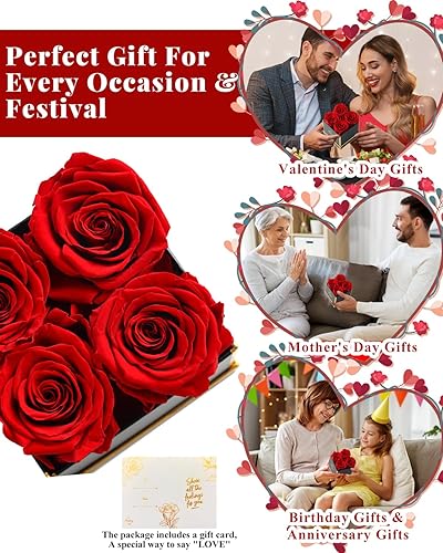 Miniatura 4 de Changshunqi Flores Eternamente Frescas, Rosas Preservadas en una Caja, Flores de Rosa Eterna para Entrega, Rosas Preservadas para Siempre, Regalos