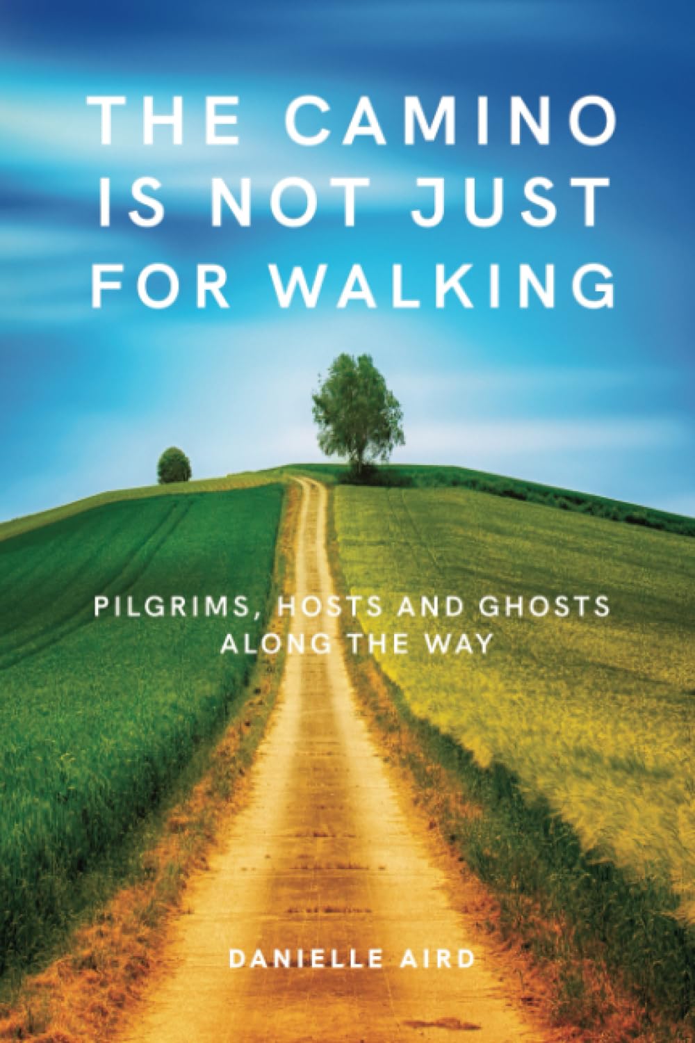 The Camino is not just for Walking: Pilgrims, Hosts and Ghosts along the Way