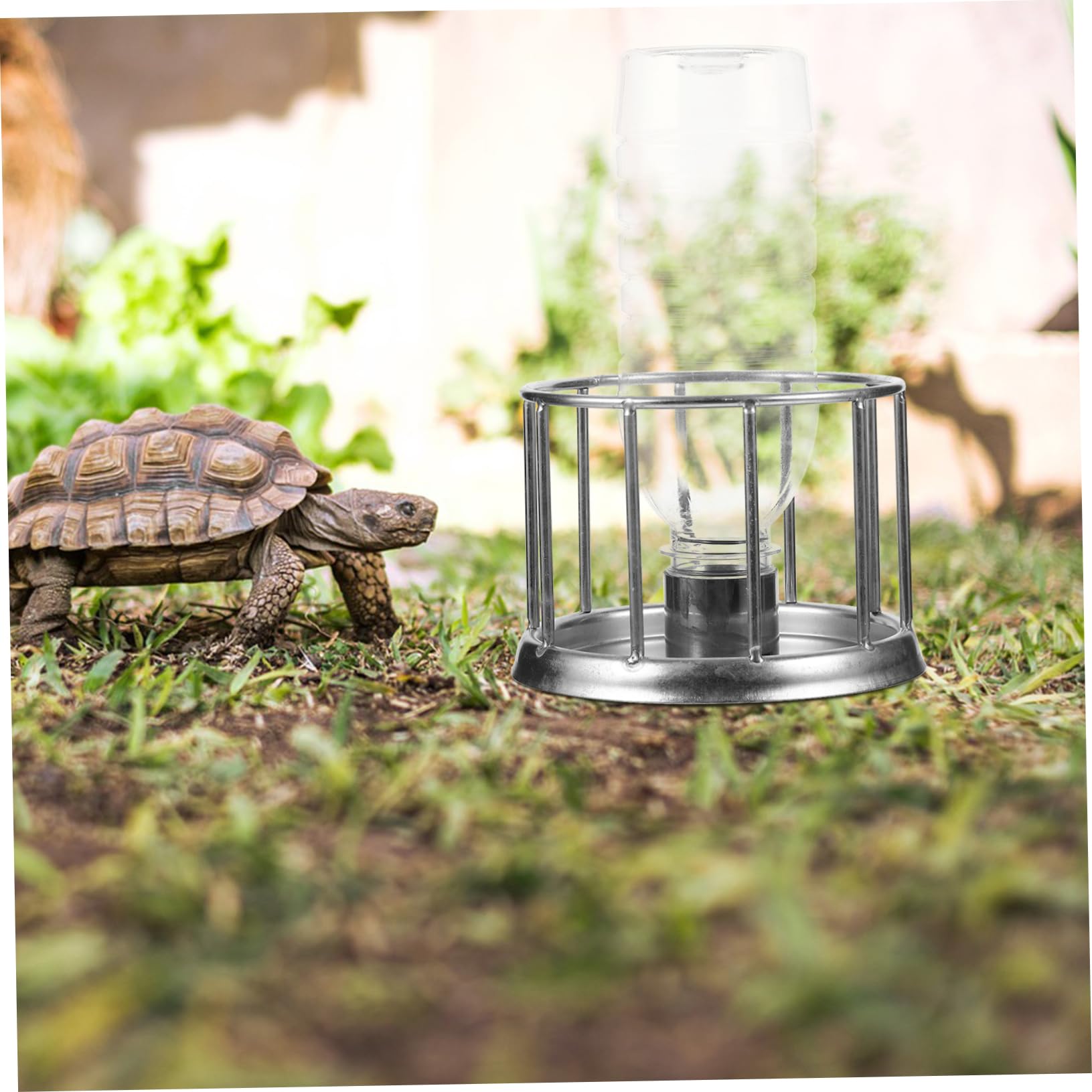 BESPORTBLE 4pièces Distributeur Eau Acier pour Tortues Mangeoire pour Reptiles Bol Alimentation pour Terrarium Et Lézards Accessoire pour Propre