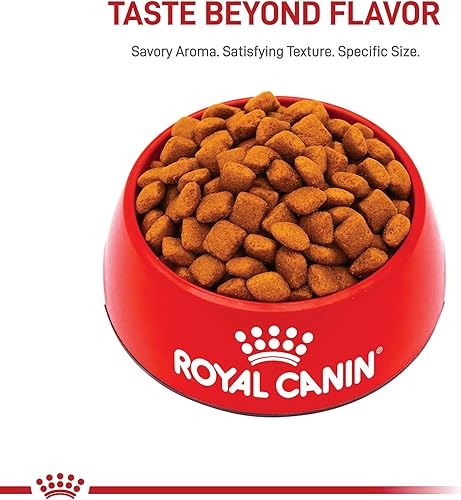 Miniatura 8 de Royal Canin Size Health Nutrition - Alimento seco gigante para perros junior, bolsa de 30 libras