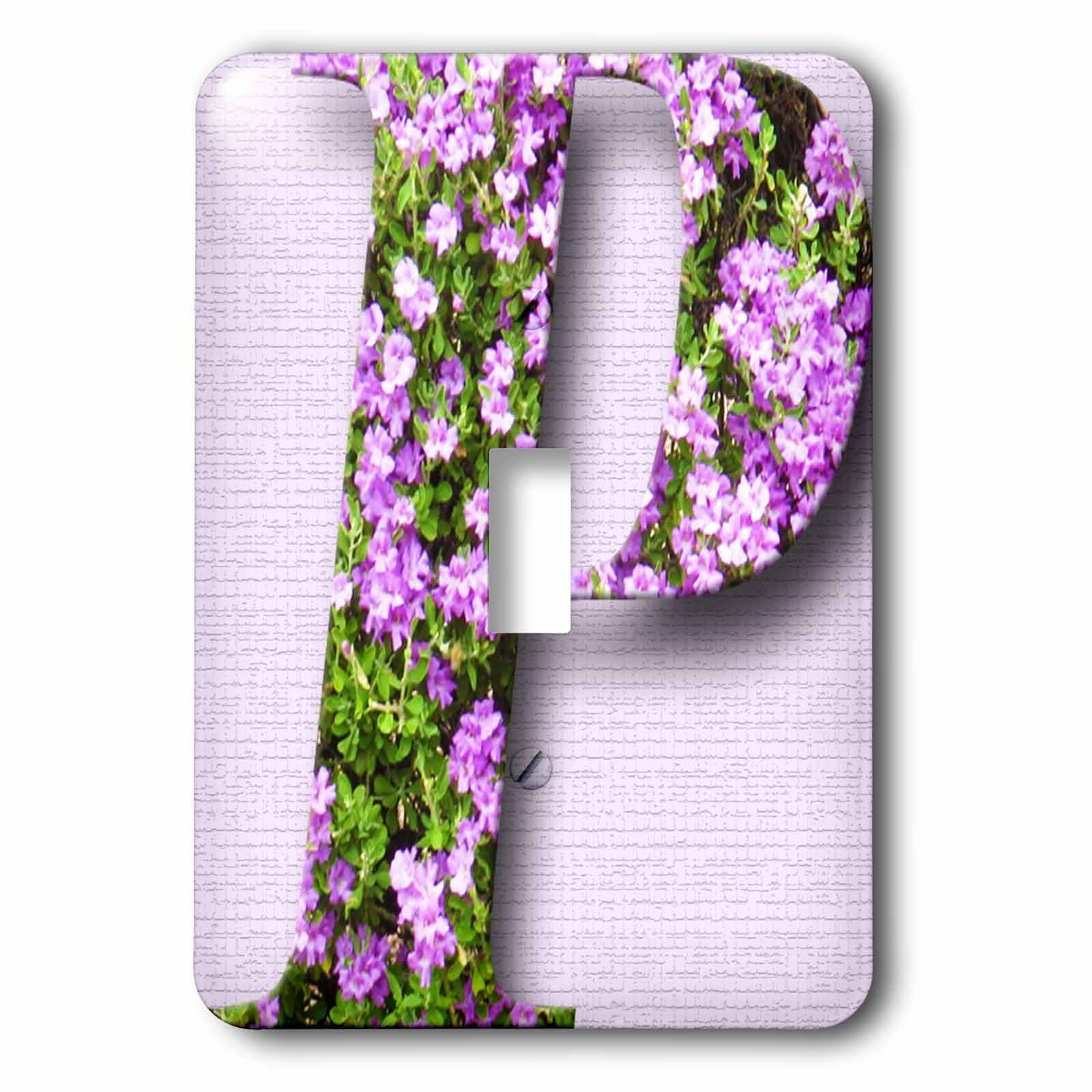 Capot d'interrupteur differe plaque de finition murale lsp_280041_1 pour maison