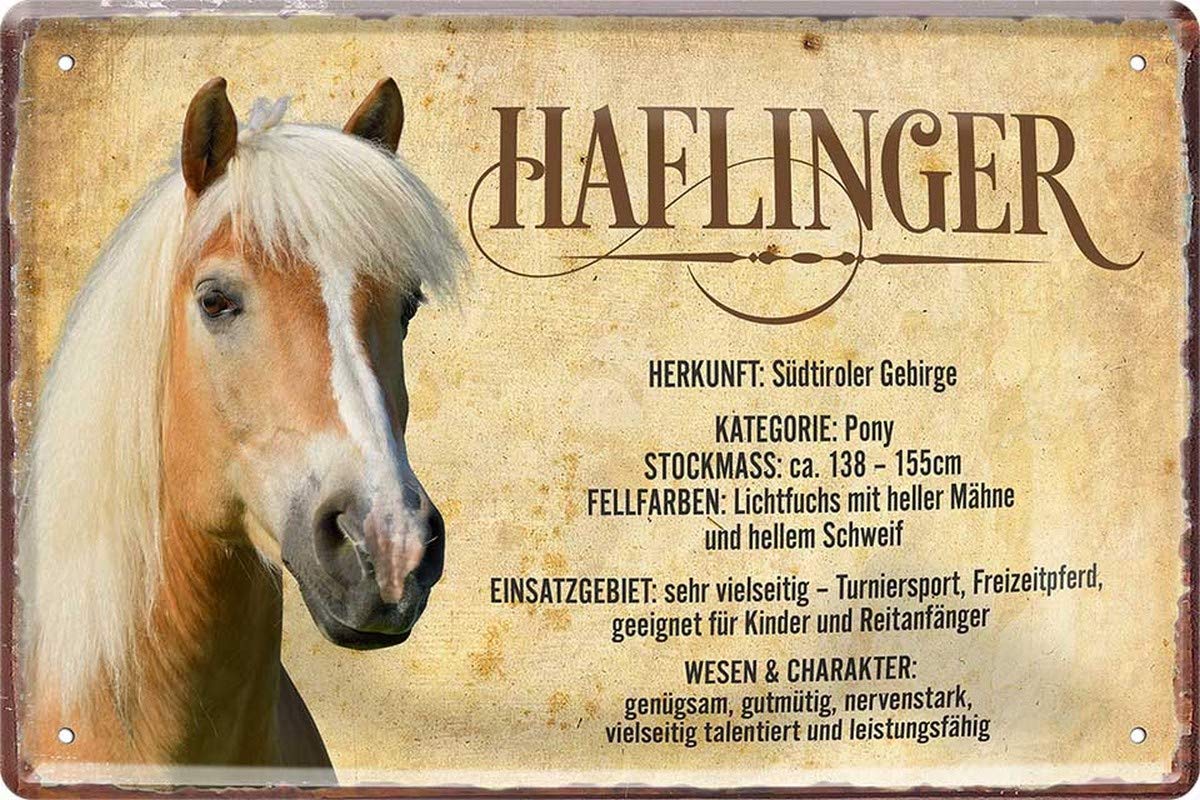 477 N / A Haflinger Horse Letter 20 x 30 cm Decorative Saying Tin Sign, Red (metallic)