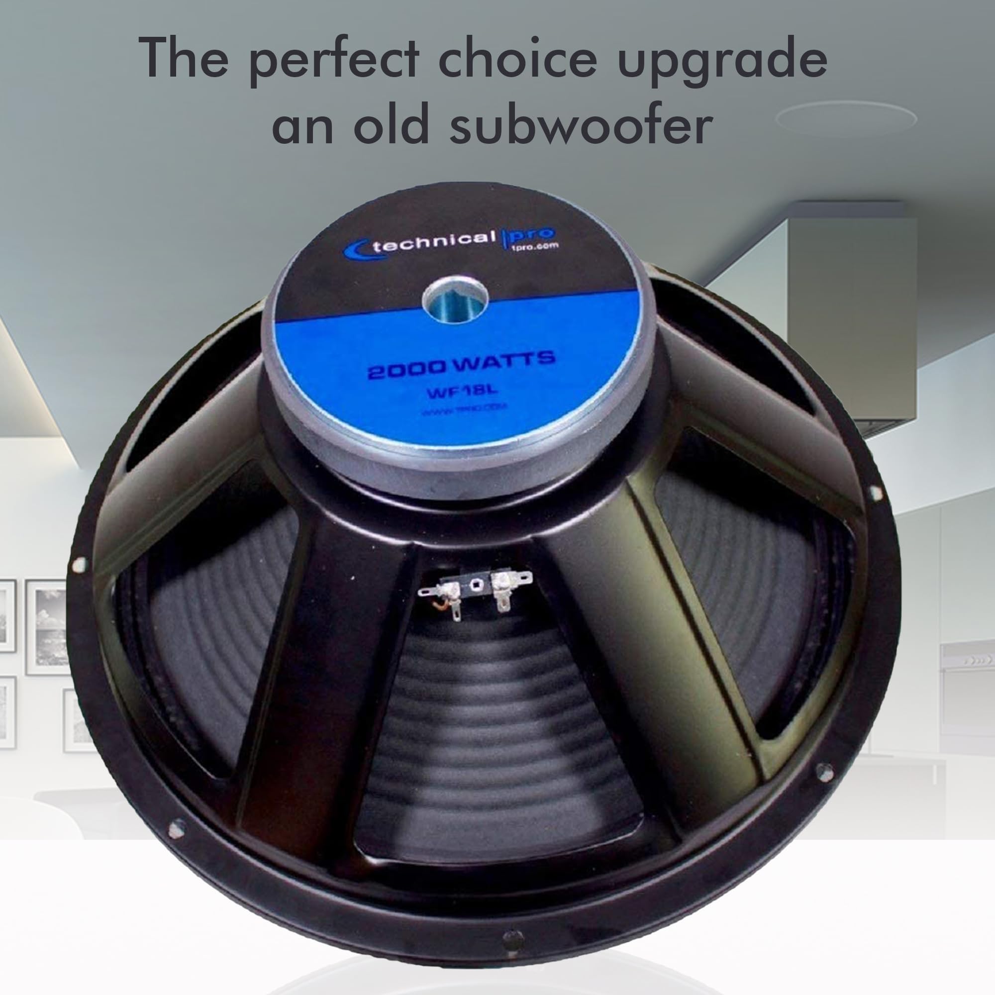 Amazon | Technical Pro wf18 18 Rawサブウーハーブラック