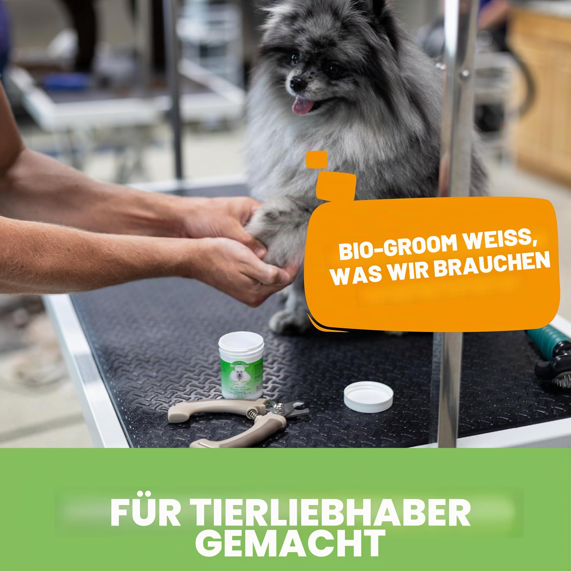 Bio-Groom - Sure-Clot Pulver - Blutstillendes Pulver für Hunde - Antiseptisches Gerinnungsmittel verengt die Blutgefäße - Stoppt Blutung bei kleinen Verletzungen - Auch für Vögel oder Katzen - 42 g