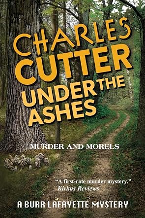 Under the Ashes
