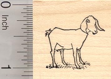 Nubian Goat Rubber Stamp, Small