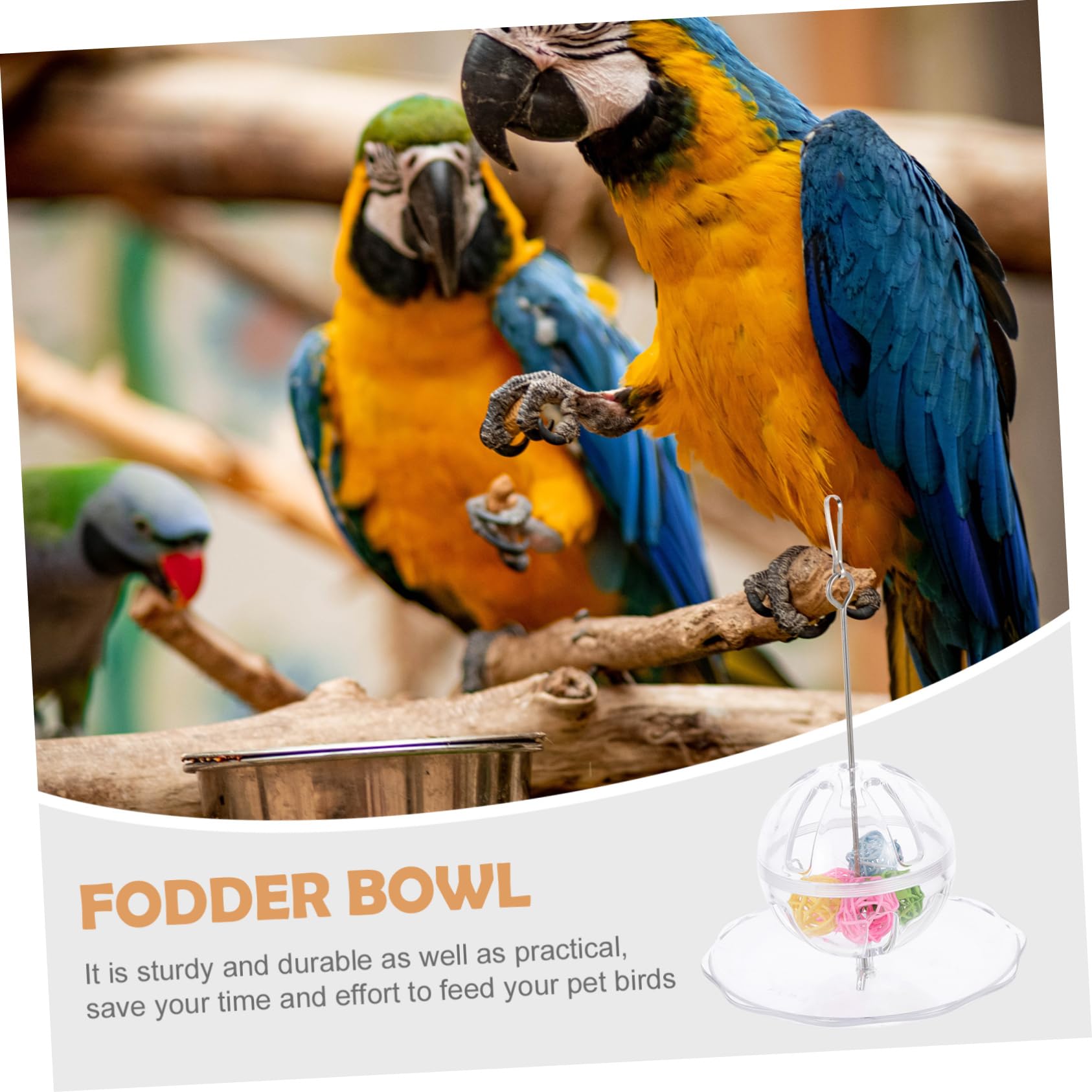 BESPORTBLE 2sets Mangiatoia Per Pappagalli Con Pallina Da Foraggio Accessori Per Uccelli Facile Da Installare Per Macaw e Cockatiel Sicuro e Salubre Gioco e Nutrimento Per Tuoi Volatili