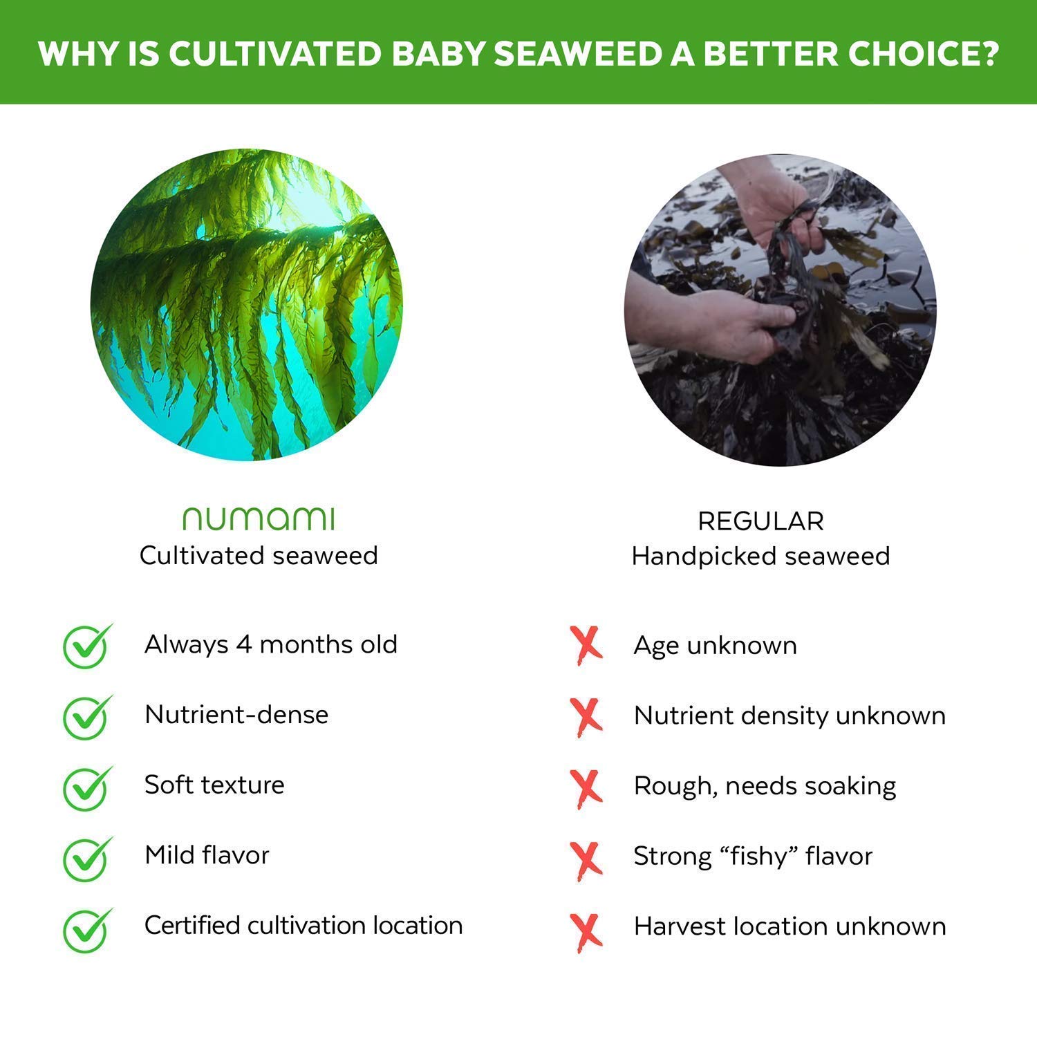 3 Organic Seaweed Flakes With a Fresh & Mild Taste For All Your Needs