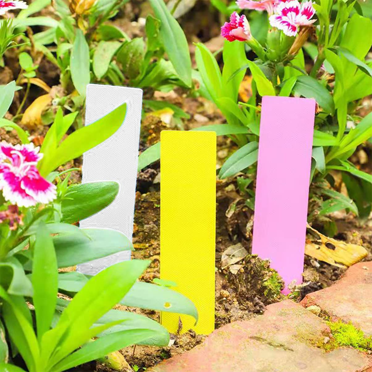 SUPVOX 2 Ensembles Étiquette De Jardinage Étiquette De Légumes Signe D'étiquette Étiquette Jardinage Etiquettes Plantes Piquets D'étiquettes De Plantes Étiquette Fleur 300 Pièces * 2