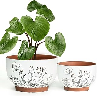 YBX 8 Inch & 6 Inch Terracotta Pots, Plant Pots, Flower Pots for Indoor ...
