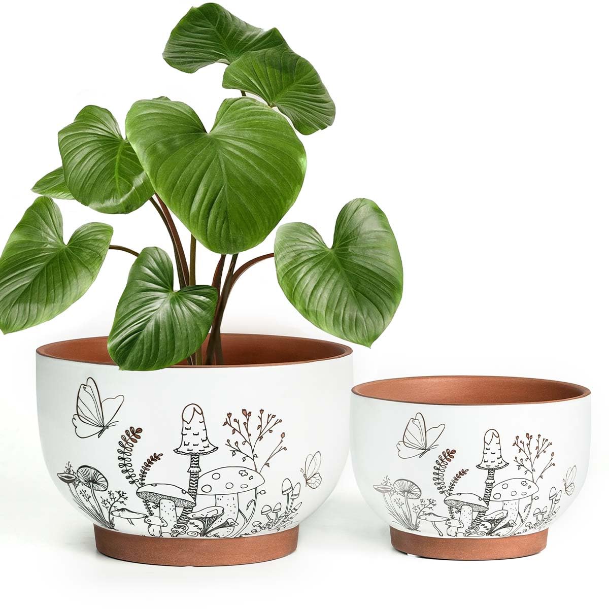 YBX Terracotta Pots with Mushroom Accent