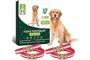 4 Pack Flea Collar for Dogs: Premium Protection for Your Furry Friends