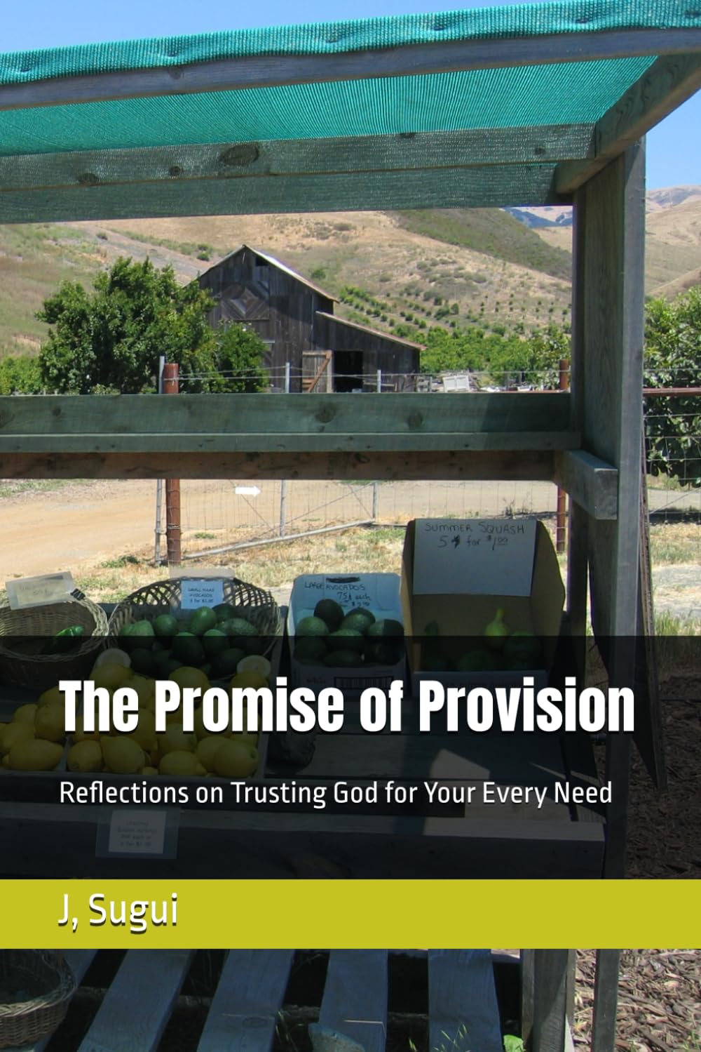 The Promise of Provision: Reflections on Trusting God for Your Every Need (The Reflection of Faith: The Promises of Jesus)