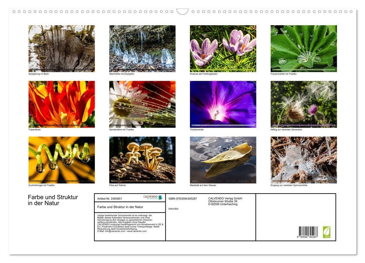 Farbe und Struktur in der Natur (Wandkalender 2027 DIN A2 quer), CALVENDO Monatskalender: Abwechsend farbenfrohe Details aus der Natur (CALVENDO Natur)