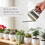 Small Watering Can for Indoor Plants, 300ML Mini Indoor Watering Can with Long Spout Gooseneck, Mini Stainless Steel Watering Pot Can Gardening Tool for Plant in Office Home Outdoor