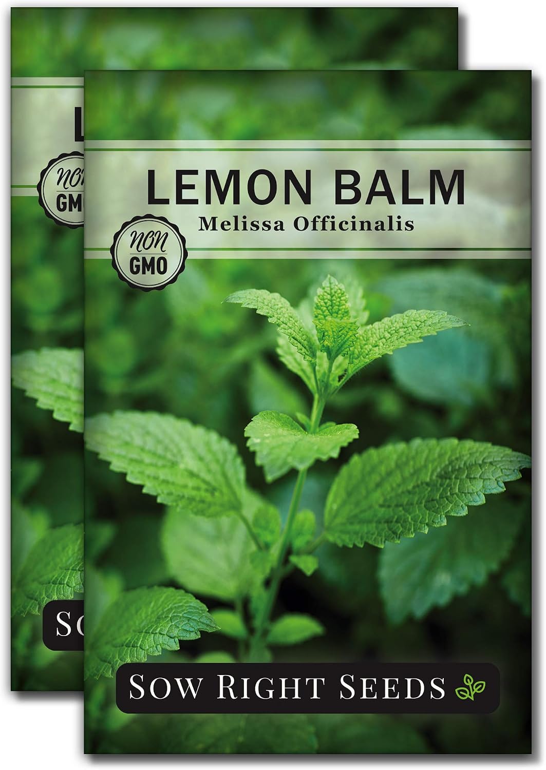 Sow Right Seeds - Lemon Balm Seeds for Planting - Non-GMO Heirloom Packet With Instructions - Easy to Grow Herb Garden - Aromatic Medicinal Herb and Great for Herbal Teas - Perennial Mint Relative (2)