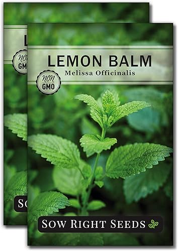 Miniatura 8 de Sow Right Seeds - Semillas de bálsamo de limón para plantar - Paquete de reliquia sin OMG con instrucciones - Jardín de hierbas fácil de cultivar -