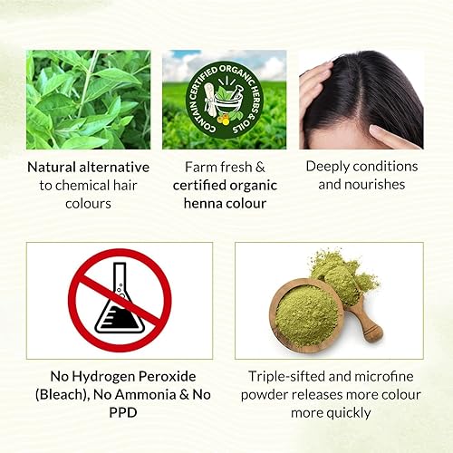 Miniatura 9 de Indus Valley Bio Organic Natural Henna Tinte para el cabello, rubio, 3.53 onzas, 100 % cobertura de cabello gris y tinte para el cabello de larga