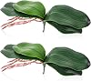 2 Pcs Fake Orchids Leaves, Real Touch Artificial Phalaenopsis Stems, 8 Inch 20 cm Green Latex Plastic Cymbidium Foliage Lifelike Silk Orchid Leaf Plants for Flower Arrangements Pot Decor
