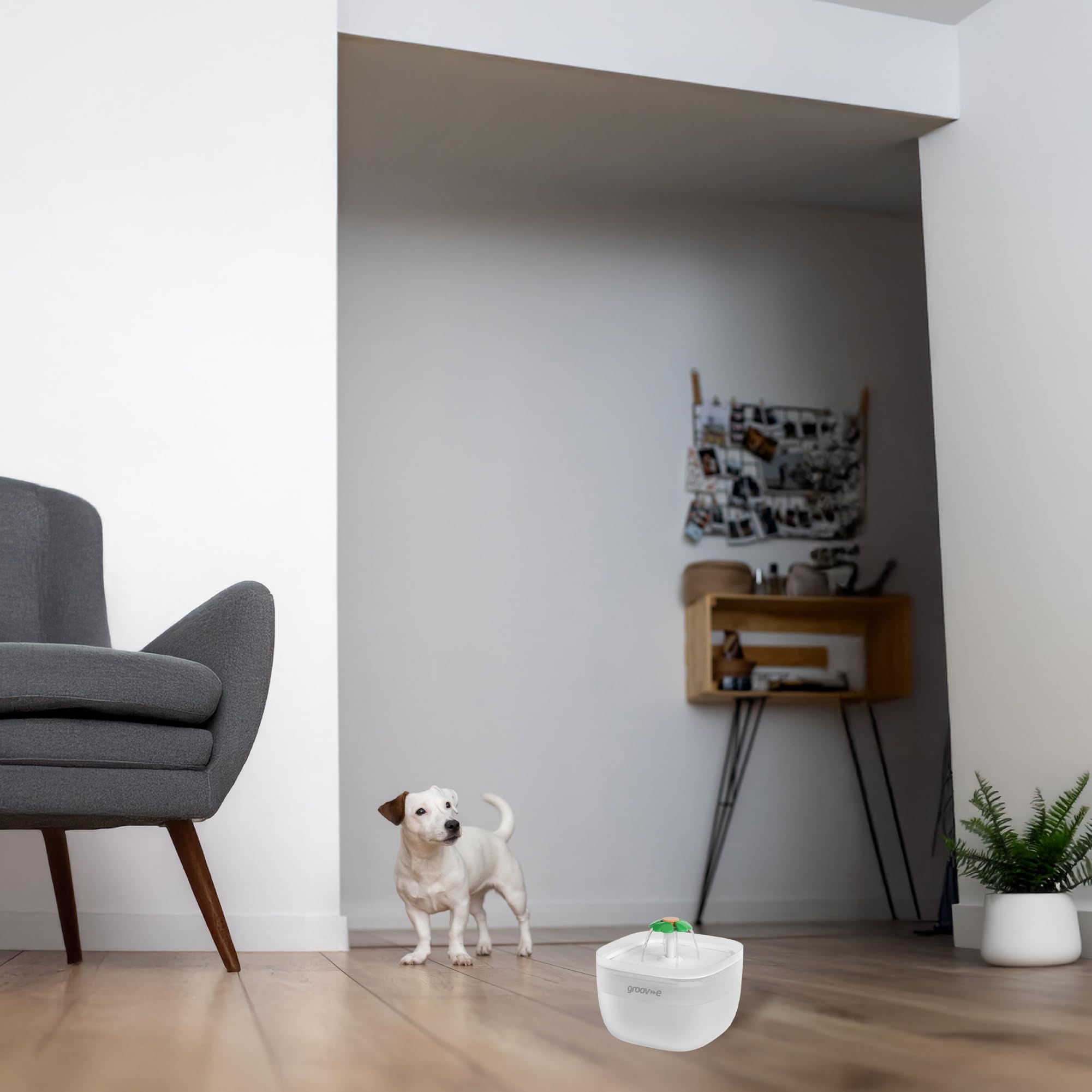 Groov-e Pet-Tech Fontaine à eau pour animaux de compagnie – Distributeur d'eau automatique pour chat et chien, réservoir de 2 L, débit silencieux, filtration à 4 couches, bol lumineux, design facile à