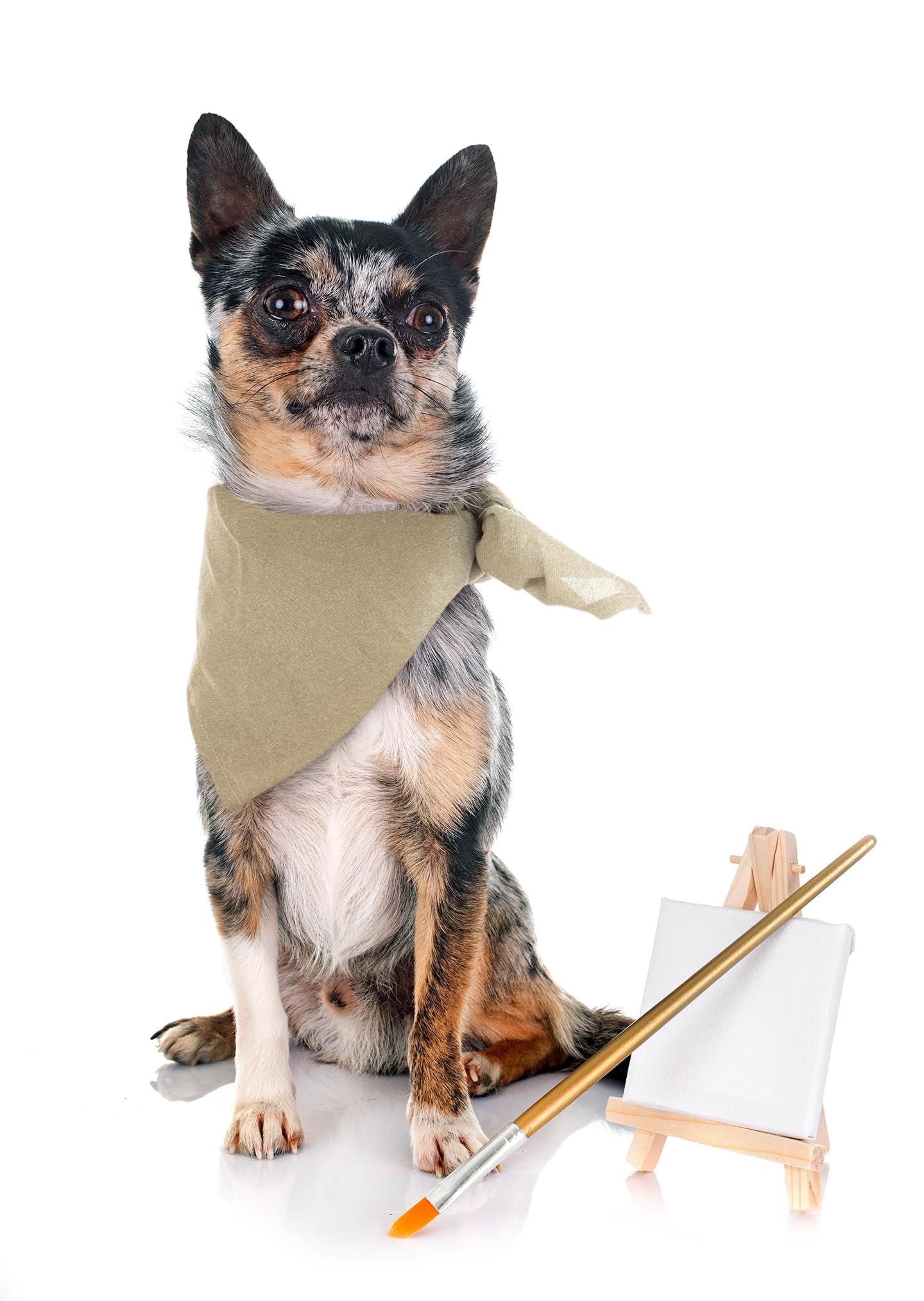 XLarge Summer Dog Bandana – Lightweight Western Dog Scarf Bandana for Boys and Girls, Fits Small to Large Dogs (Beige)