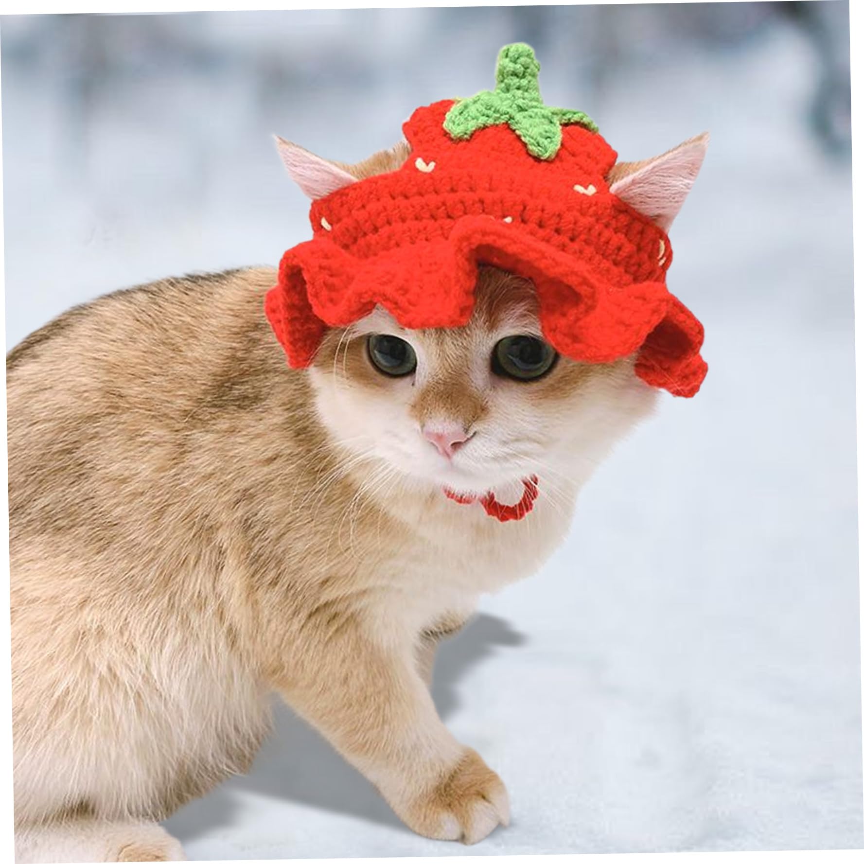 Cat Hat, Knitted Crochet Cat Hats with Tie Rope, Strawberry