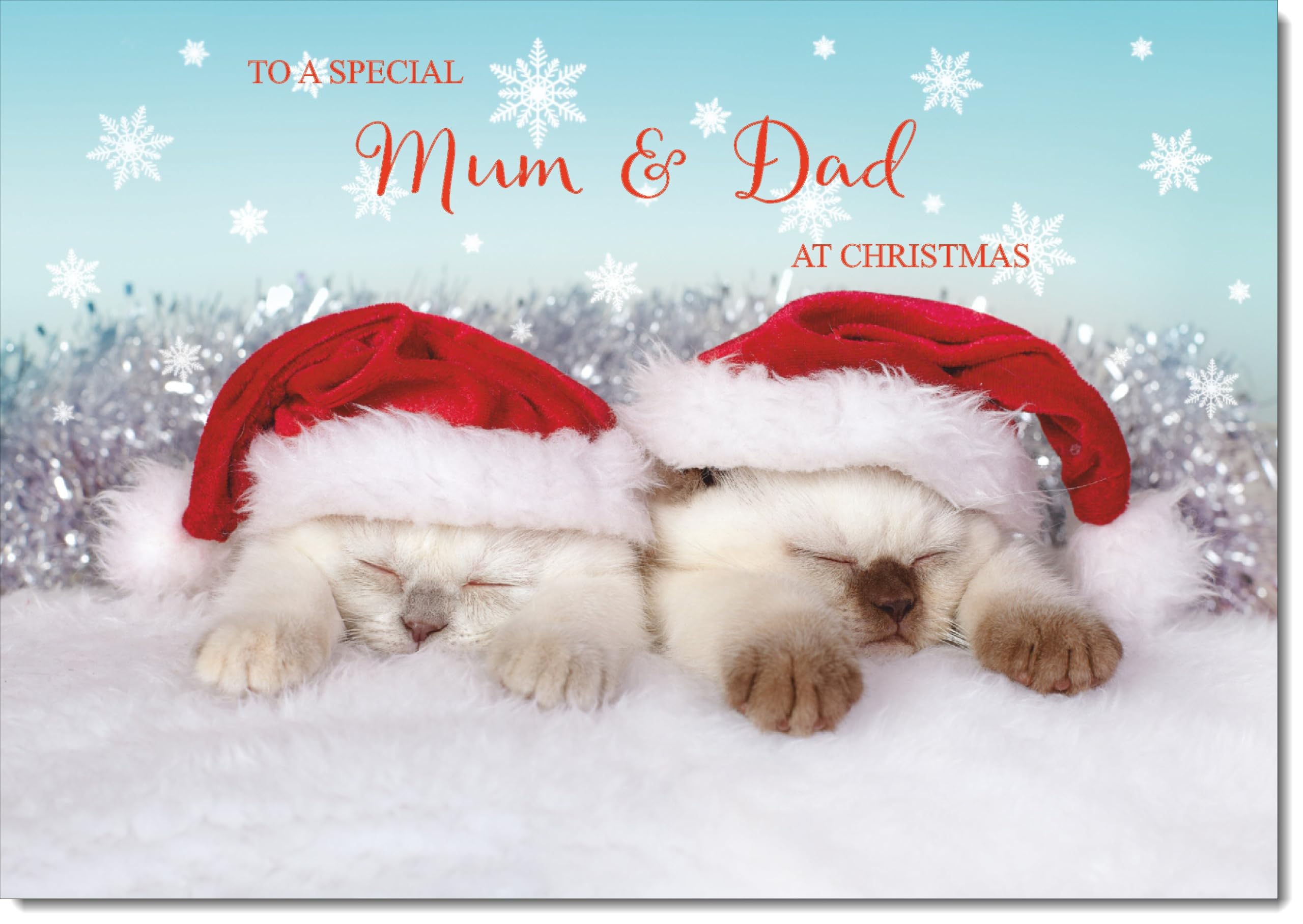 doodlecards Mum and Dad Christmas Card Two Cats with Santa Hats Large A4 Size Christmas Card for Mum & Dad with Plain Envelope — image 1
