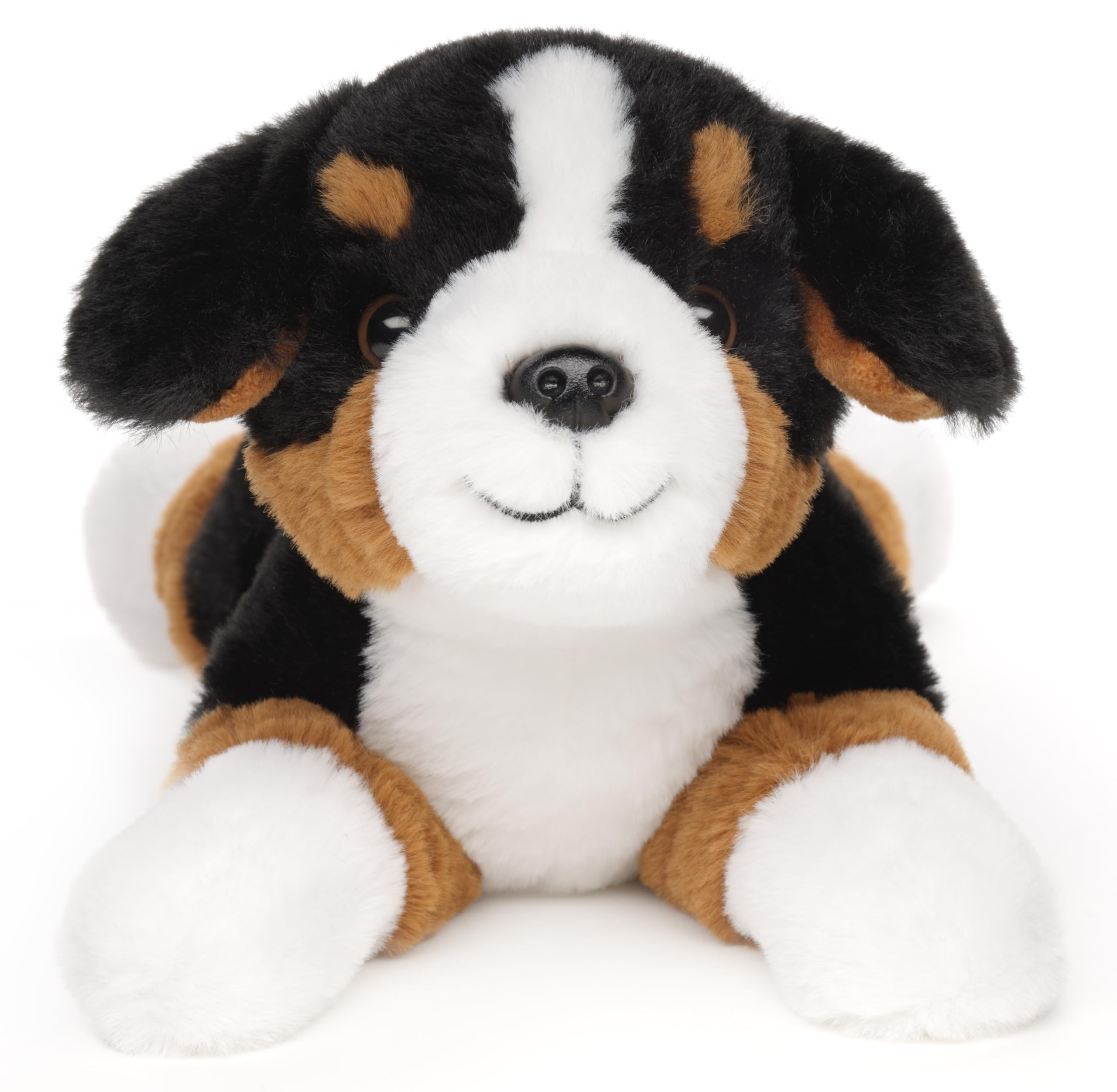 Bovaro Bernese