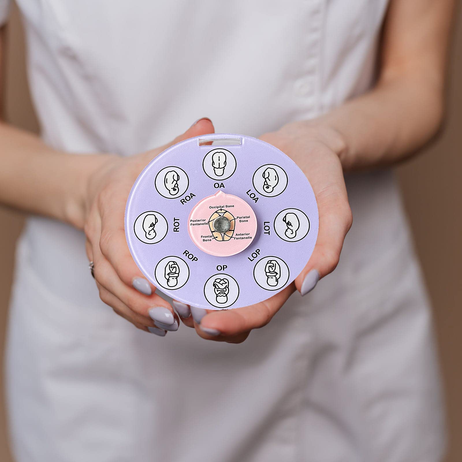 Midwife Fetal Position Tool, Midwife Gifts, Doula Supplies, Fetal Position Wheel, Childbirth Education Tools, Badge Buddies for Nurse, Fetal Position Wheel for Student Midwife Doctor Doula
