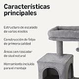 Ver la foto 2
