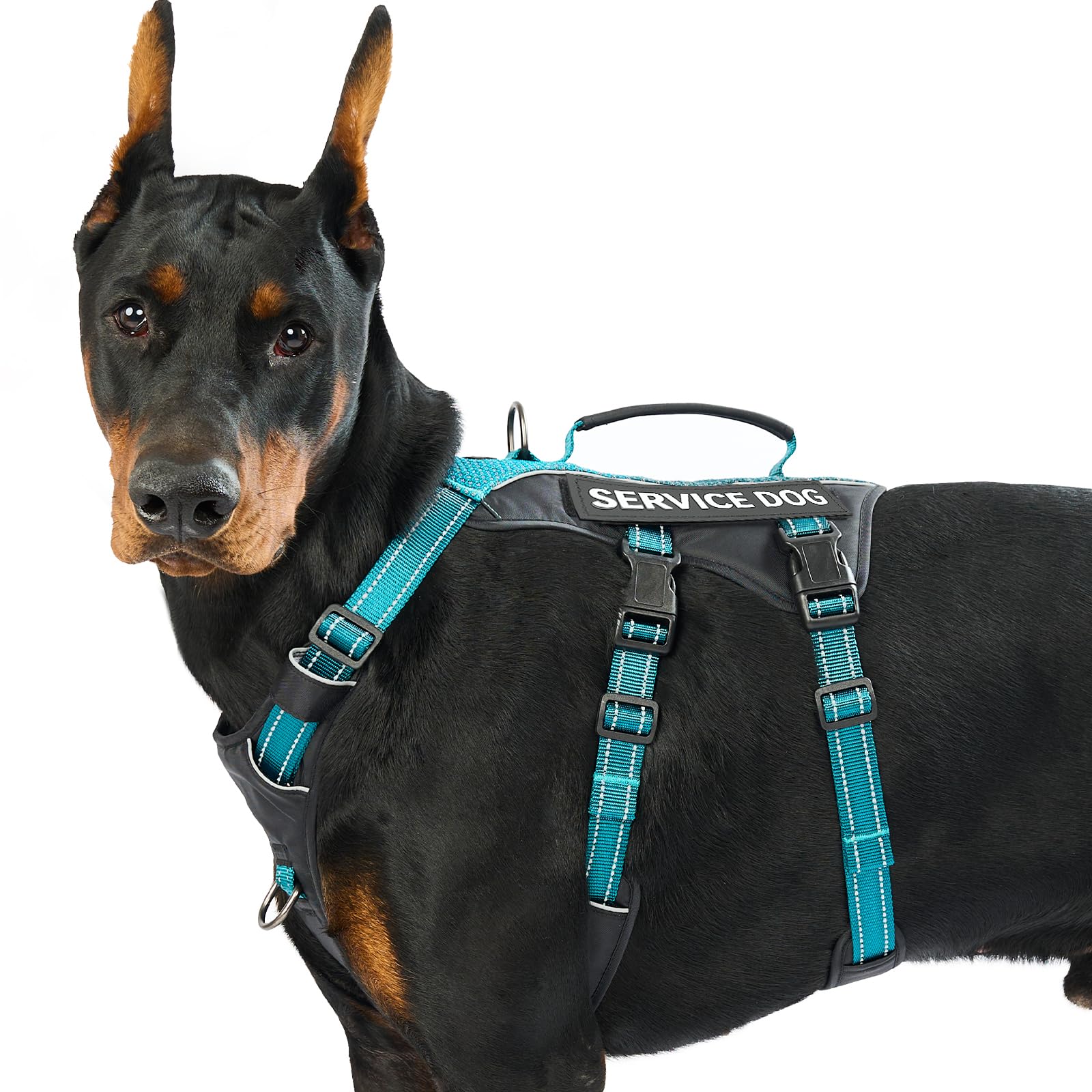 Huntboo Escape Proof Dog Harness Large Dog, Service Dog Harness with 6 Patches, No Pull Harness for Dogs with Handle, Reflective Adjustable Vest for Training, Walking, Outdoor (Teal,L)