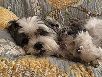 Review Image by Kellystarrhall Kellystarrhall