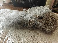 Review Image by Brette O'Connell Brette O'Connell