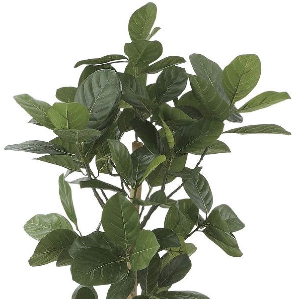 Amazon|パンの木90|人工観葉植物 オンライン通販 Amazon|パンの木90|人工観葉植物 オンライン通販